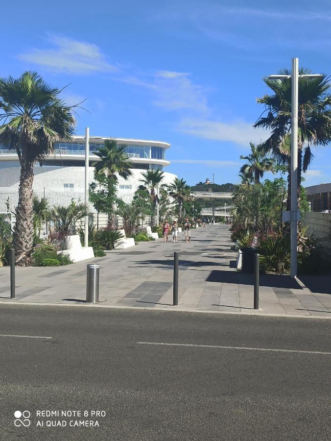 Port Studio Piscine, Parking, Prive,Navette Aeroport Agde Bagian luar foto